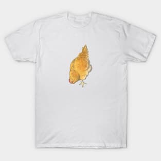 Pecking Buff Orpington Chicken T-Shirt